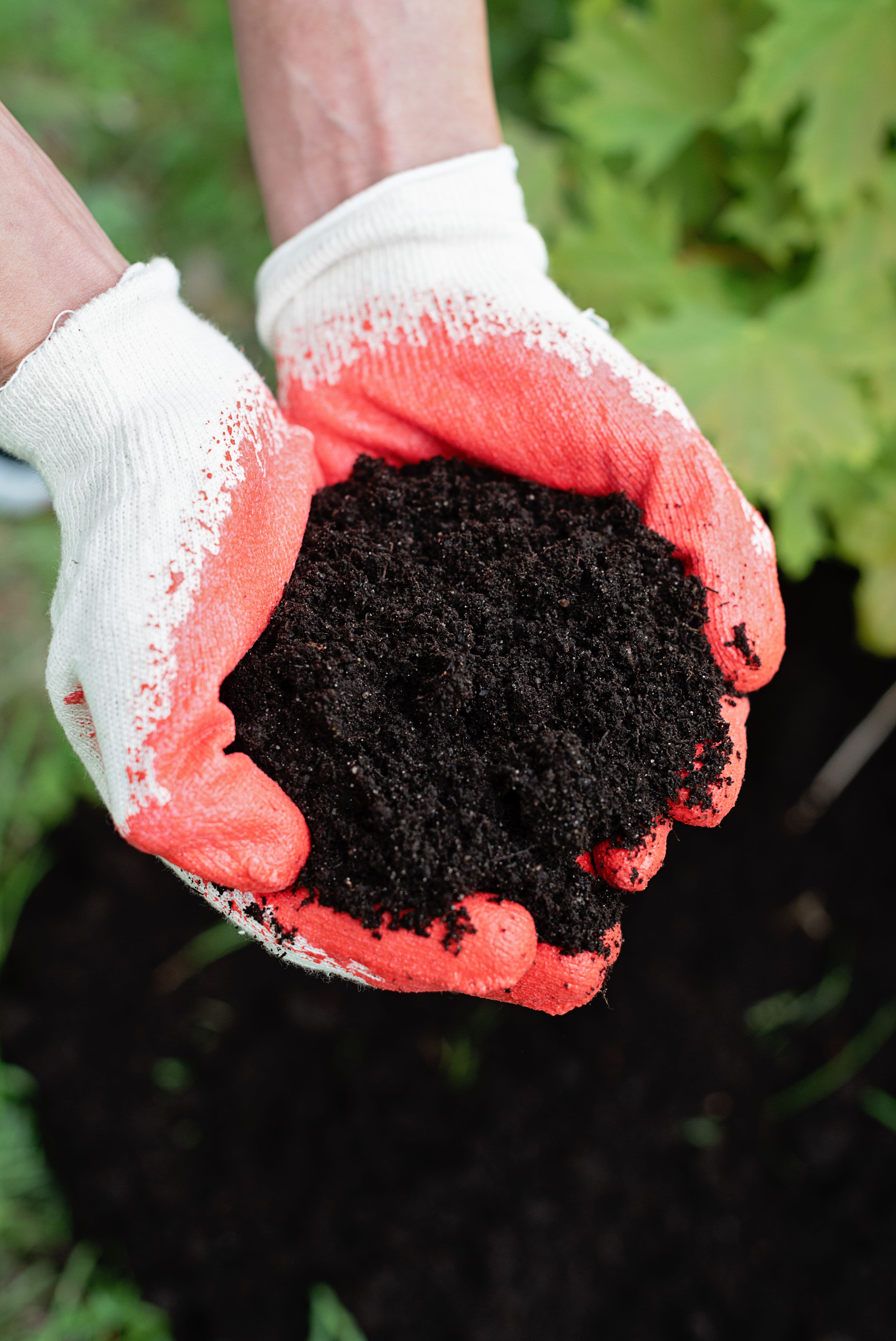 Condicionadores de Solo